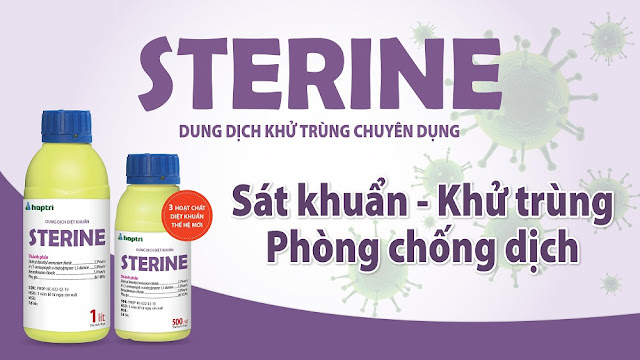 Chế phẩm Sterine dung dịch khử khuẩn hóa chất phòng dịch