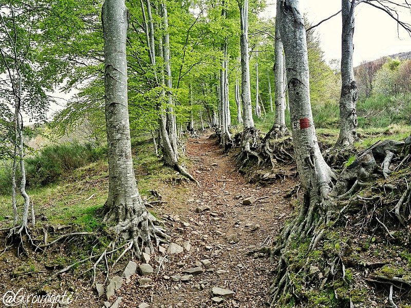 trekking valle orsigna