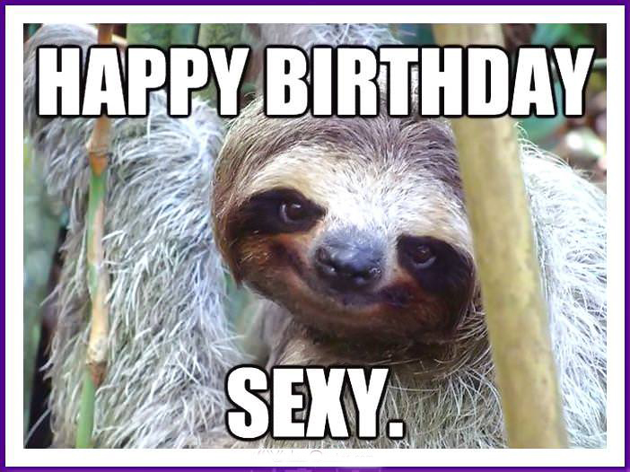 Best Happy Birthday Memes with Funny Cats, Dogs and Cute Animals ...