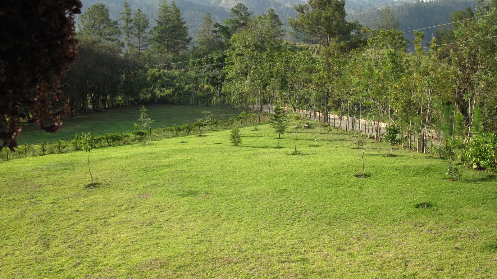 Villa en Alquiler Jarabacoa Villa at Jarabacoa for Rent