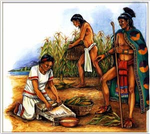 Page 1a - Who had better farming techniques the Aztec or the Inca?