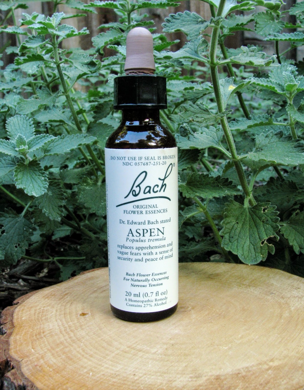 Healthy Gypsy Traveller: Bach Flower Remedies for Fear of Flying