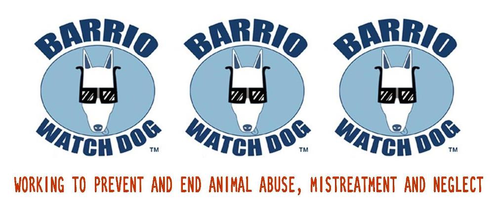 Barrio Watch Dog