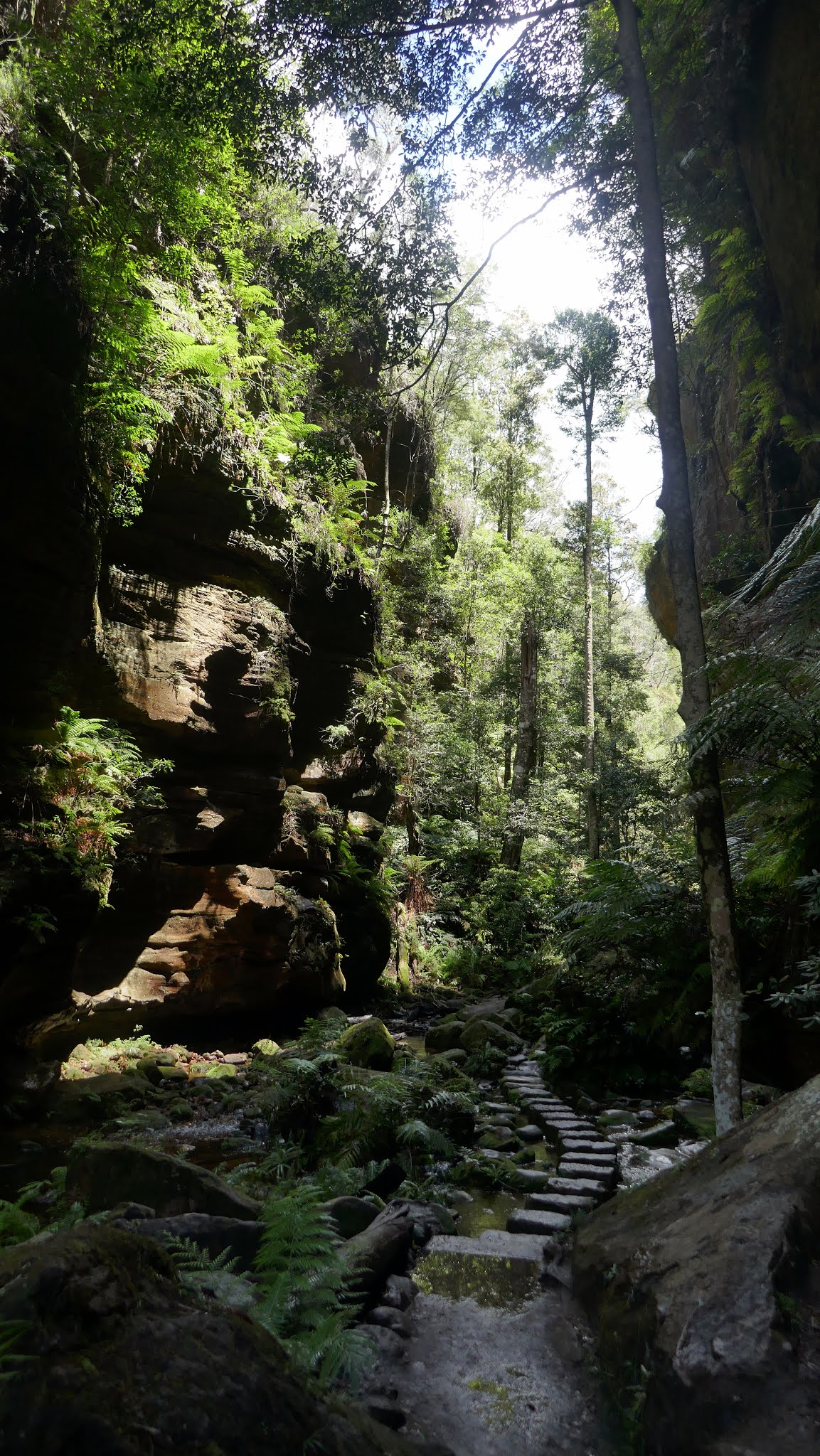 All The Gear But No Idea Govetts Leap, Cliff Top Track, Evans Lookout