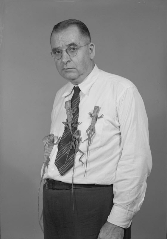 Karl Patterson Schmidt