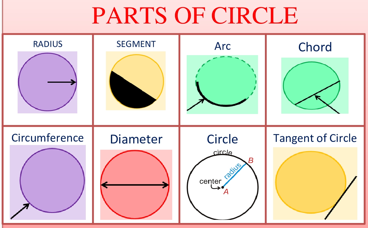 Circle match. Parts of a circle.