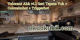 Valorant Ahk v1.1 Geri Tepme Yok + Coloraimbot + Triggerbot scrip Hilesi İndir Haziran 2020