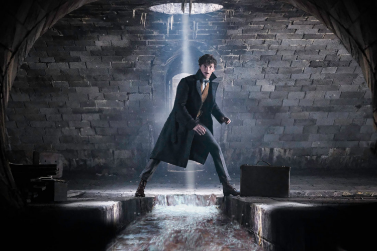 Newt Scamander in in Fantastic Beasts and the Crimes of Grindelwald