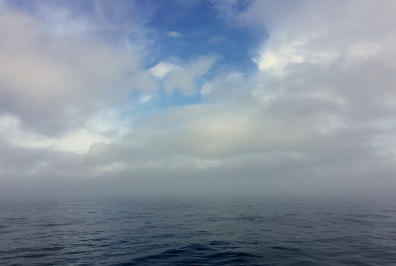 Life in the Slow Lane (The Pearl) Sept. 8 Lower Goose Island, ME