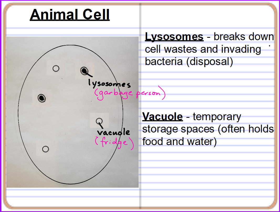 Mrs. Counts 7th grade Science Class September 2019