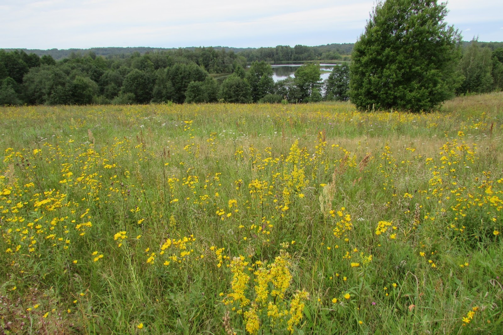 Спасская гора