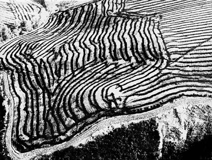 Mario Giacomelli. “The great landscapes series”, 1980/1985