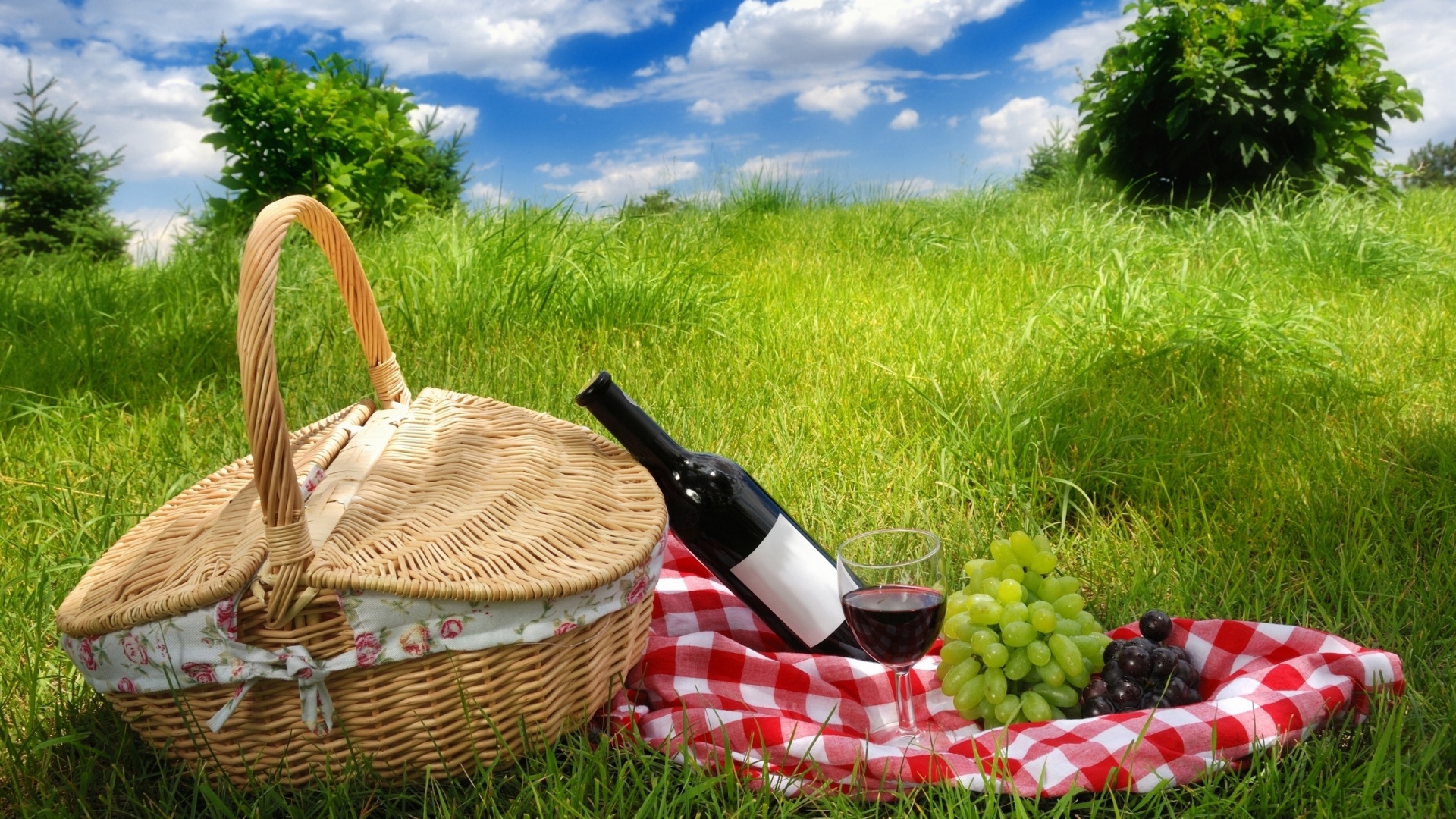 Picnic High Definition Wallpapers HD wallpapers