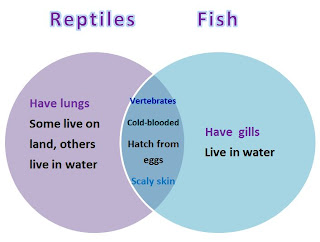 Learning Ideas - Grades K-8: Comparing Animals with Venn Diagrams