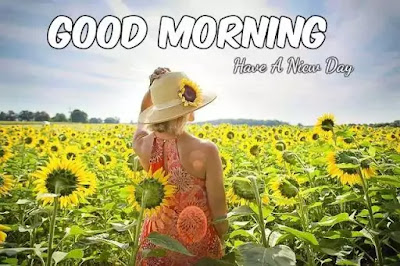 Good Morning Images Good Morning Images