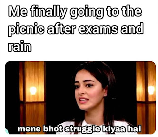 Ananya Panday Meme (Main Bahut Struggle Kiya Hai)