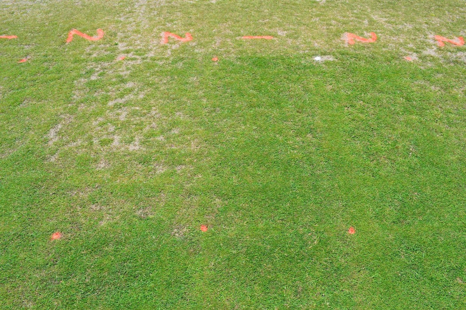 Michigan State University Creeping Bentgrass Establishment