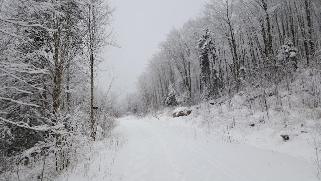 Sentier du lac Bruyère et Le Nordet