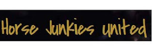 I also blog for Horse Junkies United!