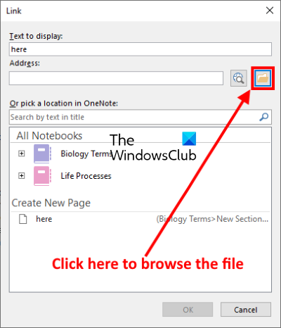 come collegare file in OneNote