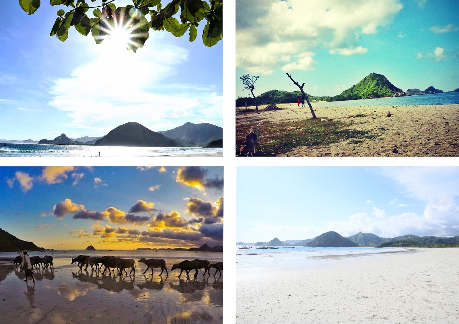 Pantai Selong Belanak Hawainya Lombok | Lombok Jalan-Jalan Tour And Travel