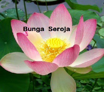Anim Agro Technology BUNGA SEROJA Anim Agro Technology BUNGA SEROJA