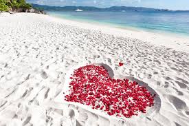 شهر العسل... سقطت أسطورته شهر العسل... سقطت أسطورته