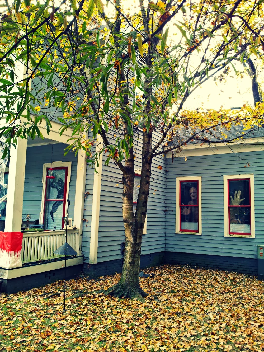 Raleigh's Oakwood Neighborhood in NC A Halloween and Christmas Must