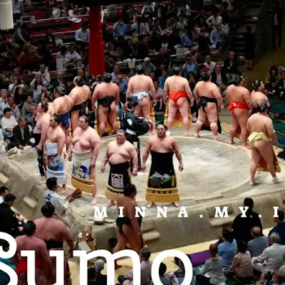 Fakta dan info tentang jepang budaya sumo