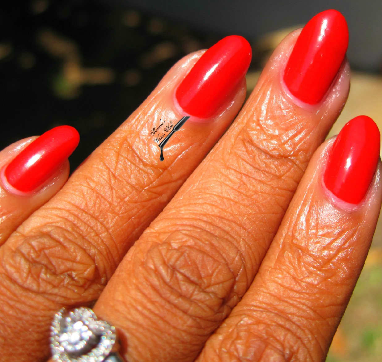 Karine’s Vernis Club Nails Inc Holly Hill