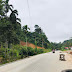 Menyoal Buka Tutup Jalan di Ruas Jalan Nasional PPK 2.2, Nova Herianto : 13 November Lokasi Tanjung Lolo dan Tanjung Gadang Tidak Ada Lagi Buka Tutup Jalan