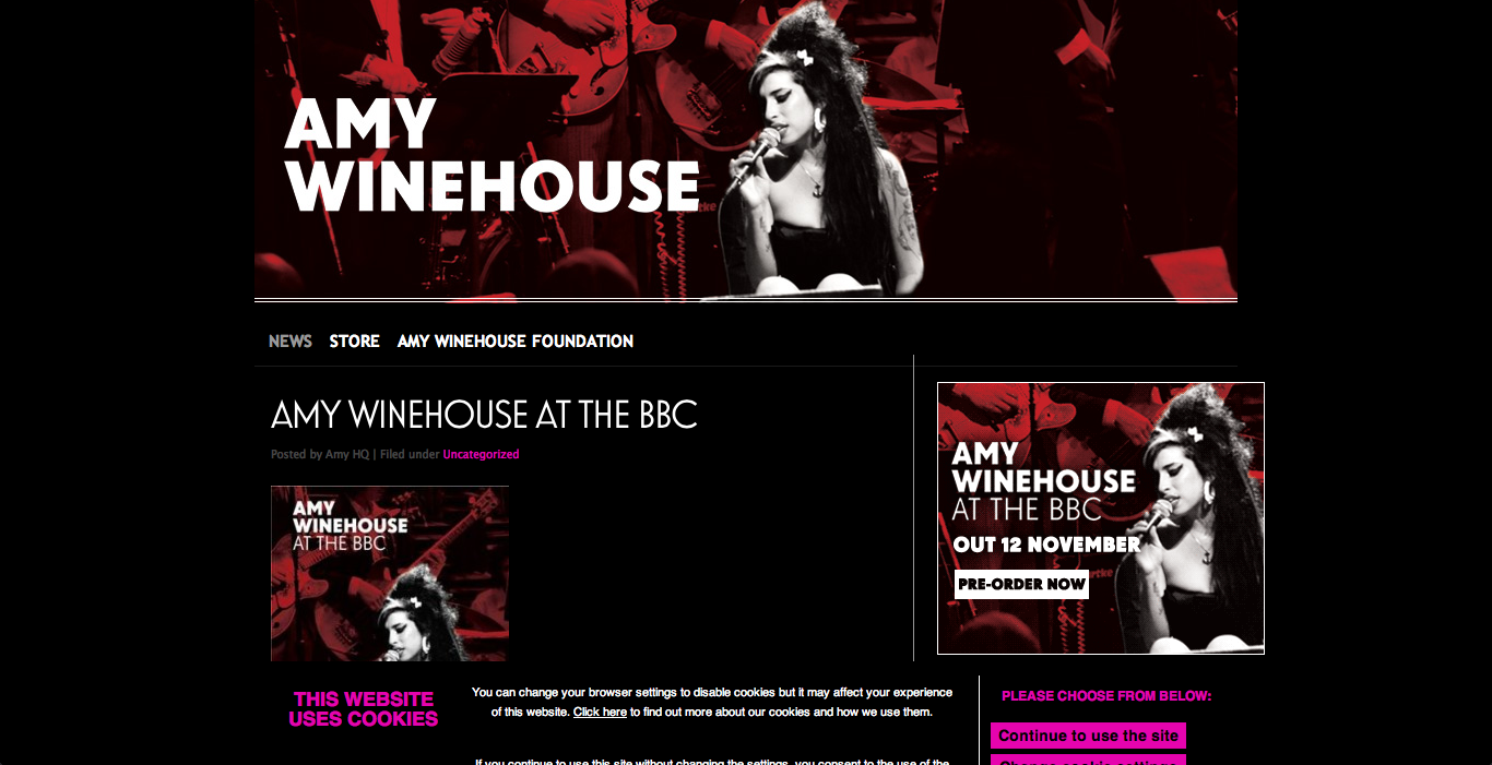 Ellen's A2 media Examples of Artists websites