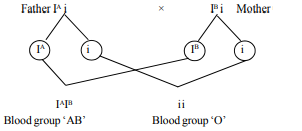 Two children one with blood group ‘AB’ and other with blood group ‘O’ are born to parents, where the