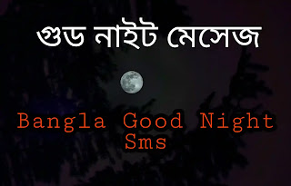 Bangla Good Night SMS 2024 (গুড নাইট, শুভ রাত্রি মেসেজ)