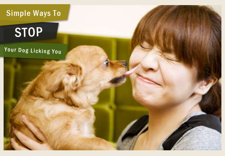 Pet Health Supplies Tips Simple Ways To Stop Your Dog Licking You