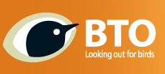 BTO