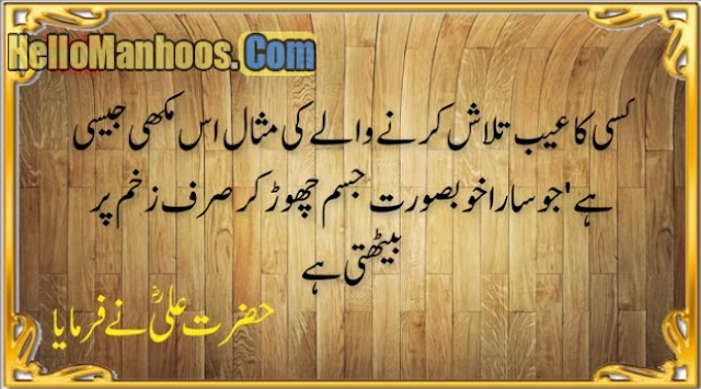 Best Urdu Quotes of Hazrat Ali Sayings