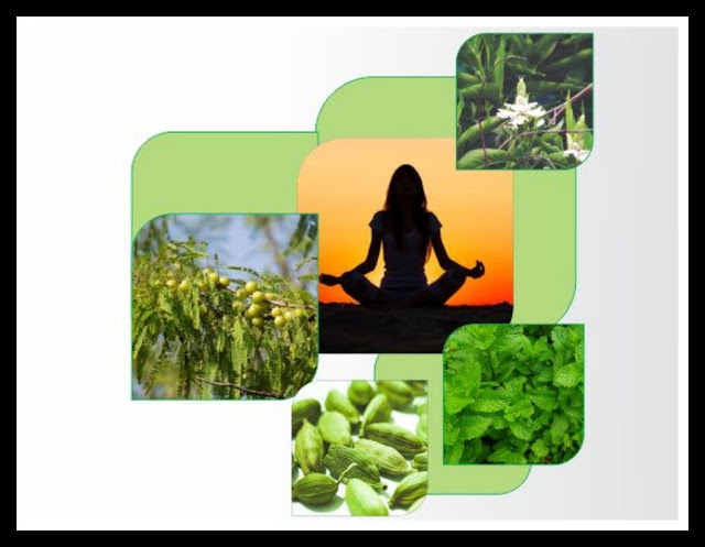 Medical herbs and their uses Herbal medicine