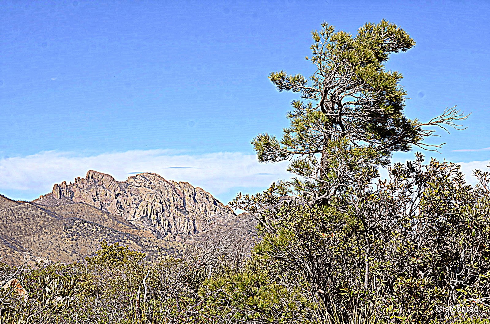 PUPPY PATHS - RVing Full-Time: Chiricahua National Monument, Arizona