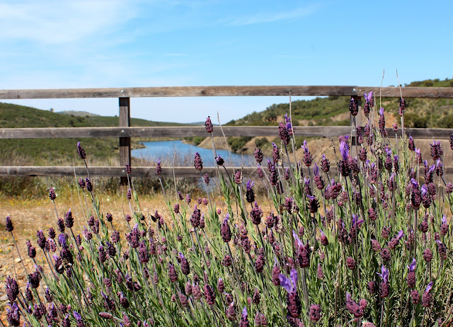 Embalse de San Vicente