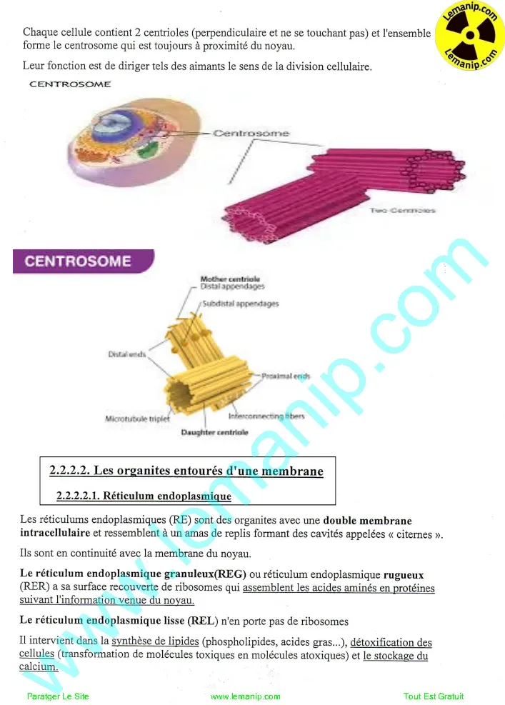 Centrosome et Reticulum endoplasmique