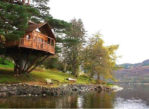 Casa-di-legno-su-albero-vicino-lago