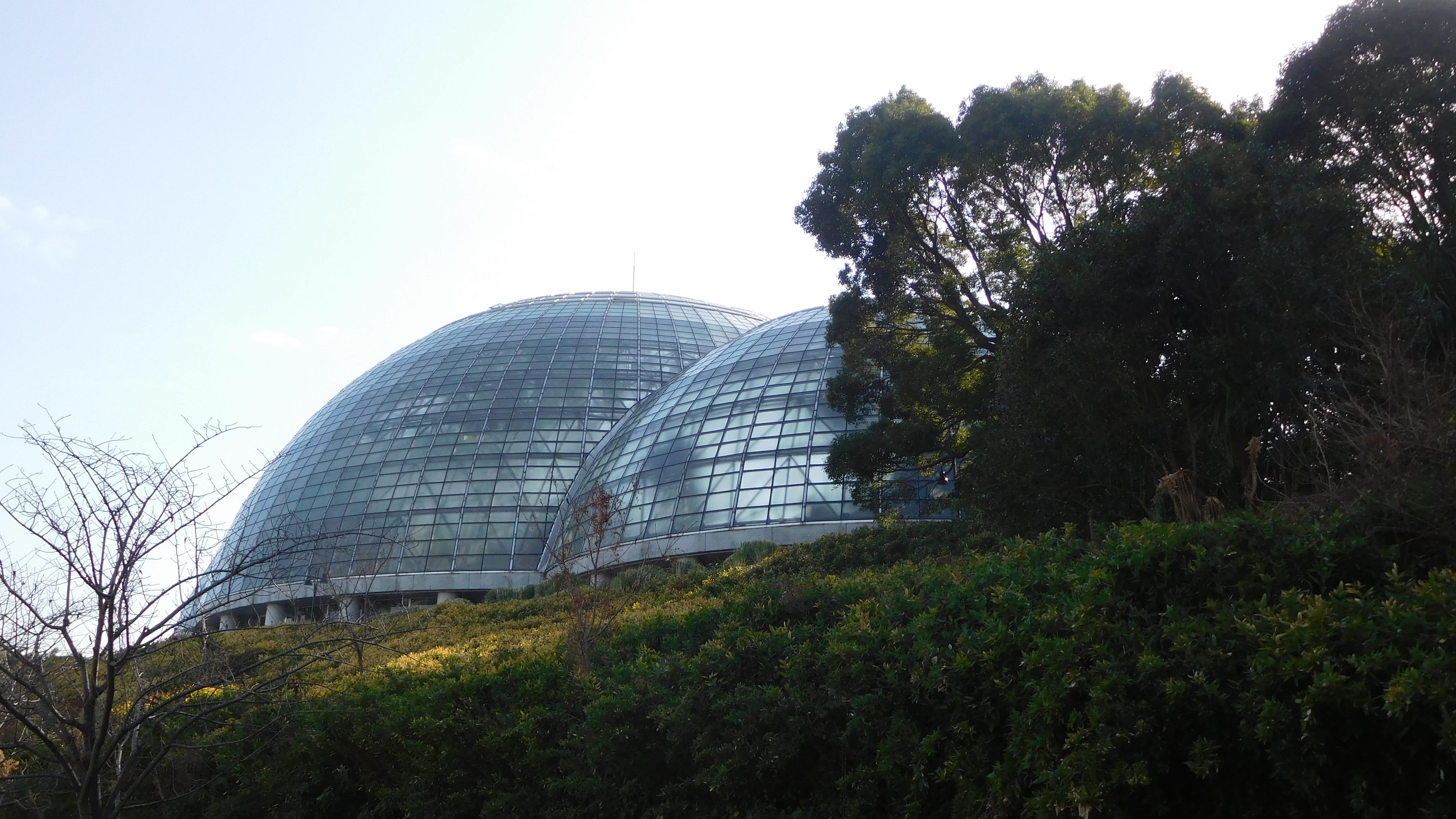 Eric et Yuki 210116 De la gare ShinKiba au bain Yudokoro kasai.
