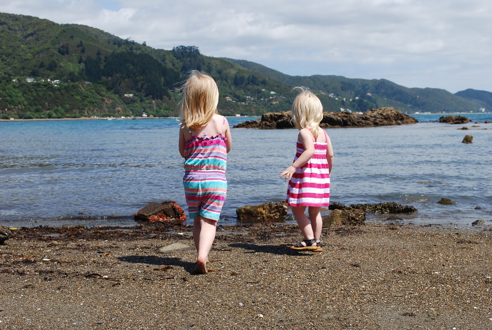 Swede as Jul på Nya Zeeland