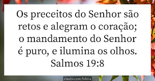 https://salmos.cleubi.com/c19v8