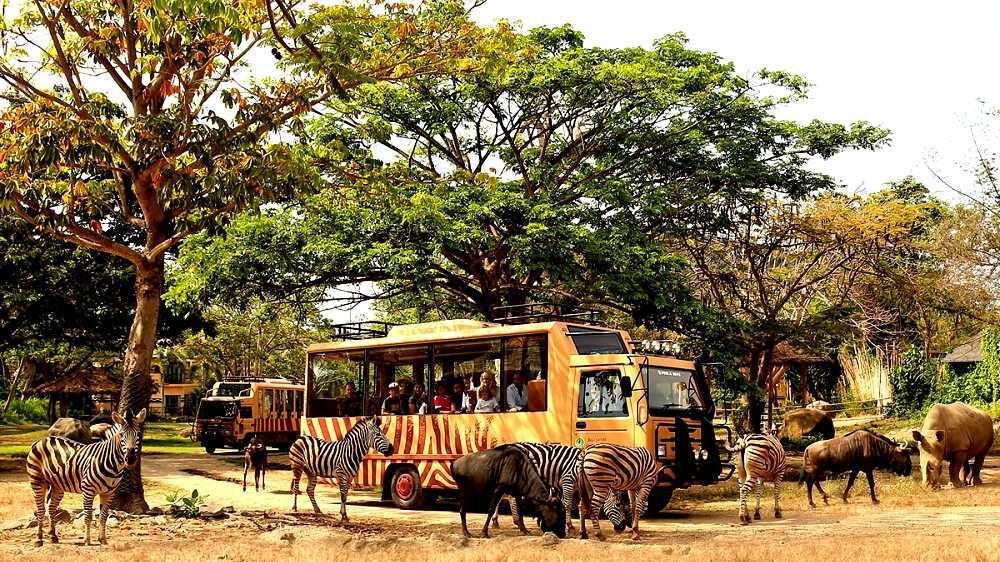 Bali Safari and Marine Park