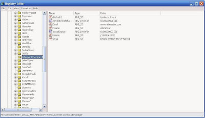 Cara Mengatasi IDM Has Been Registered With a Fake Serial Number