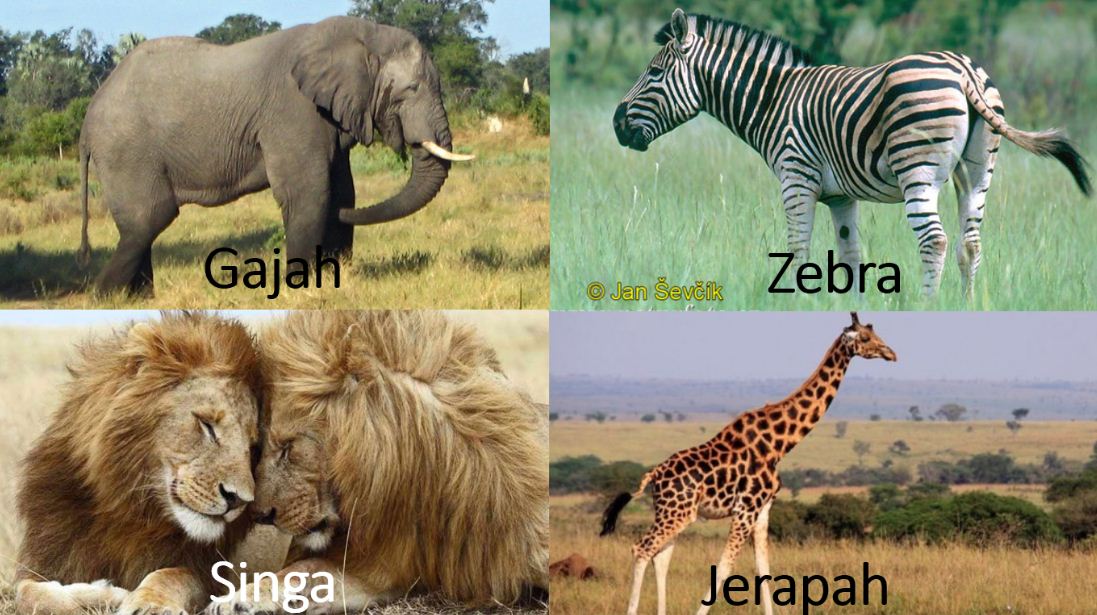 Persebaran Fauna  Dunia TERLENGKAP