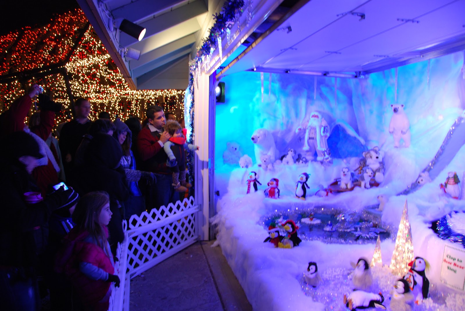 All Things Elise &amp; Alina: Dovewood Court Holiday Lights 2011