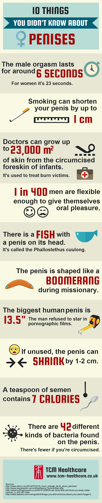 10 Things You Didn T Know About Penises Infographic